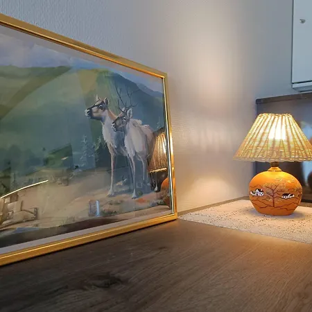 Vakantiehuis Revontuli 3 Syöte