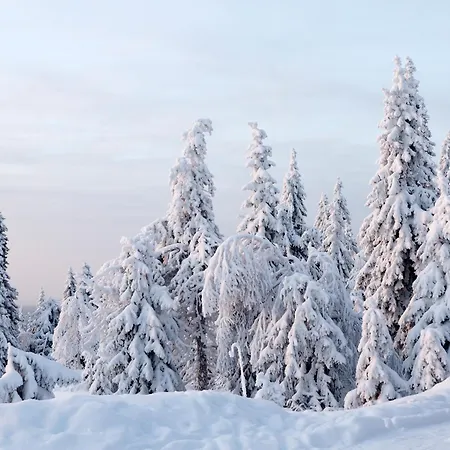 Revontuli 3 Syöte