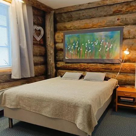 Vakantiehuis Revontuli 3 *